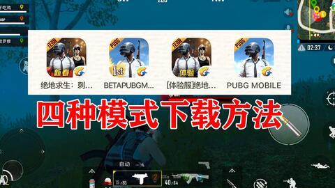 pubg国际服体验服最新爆料,最新Pubg国际服体验服爆料，全新内容即将上线！